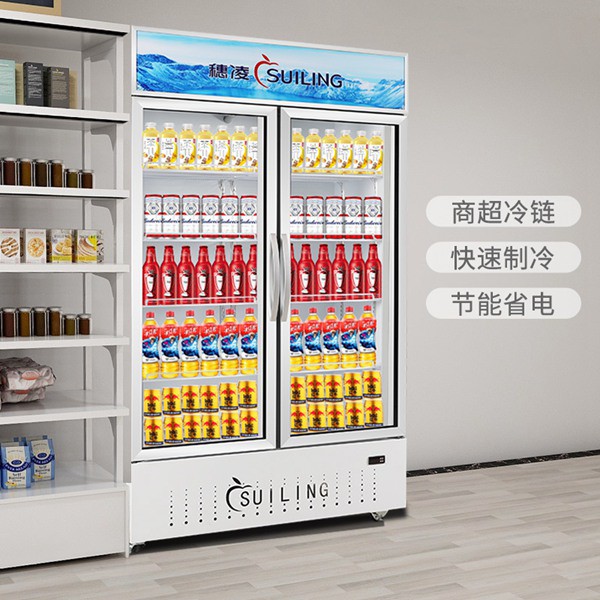肇慶小型商用冰柜廠家哪家好