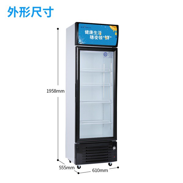潮州新款商用冰柜廠家批發(fā)