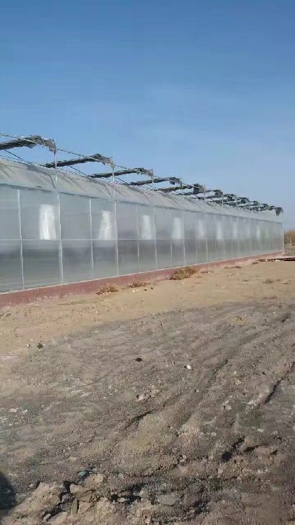 乐竞体育- 乐竞体育官方网站- 乐竞体育APP恒温大棚养殖大棚畜牧养殖温室大棚畜牧恒温大棚保温鸡舍大棚