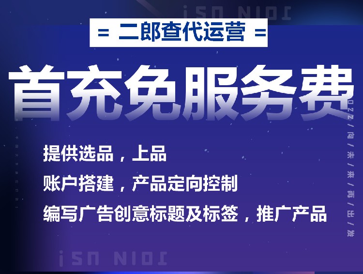 临沂从事二类电商代运营价格