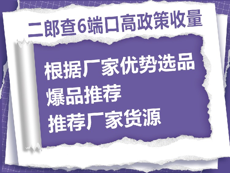 电商时代的临沂：电子商务公司的兴起