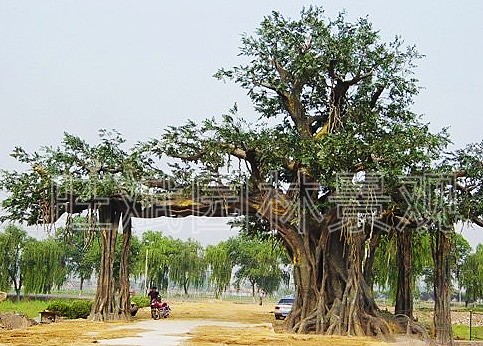 仿真榕树大门,水泥护栏雕塑