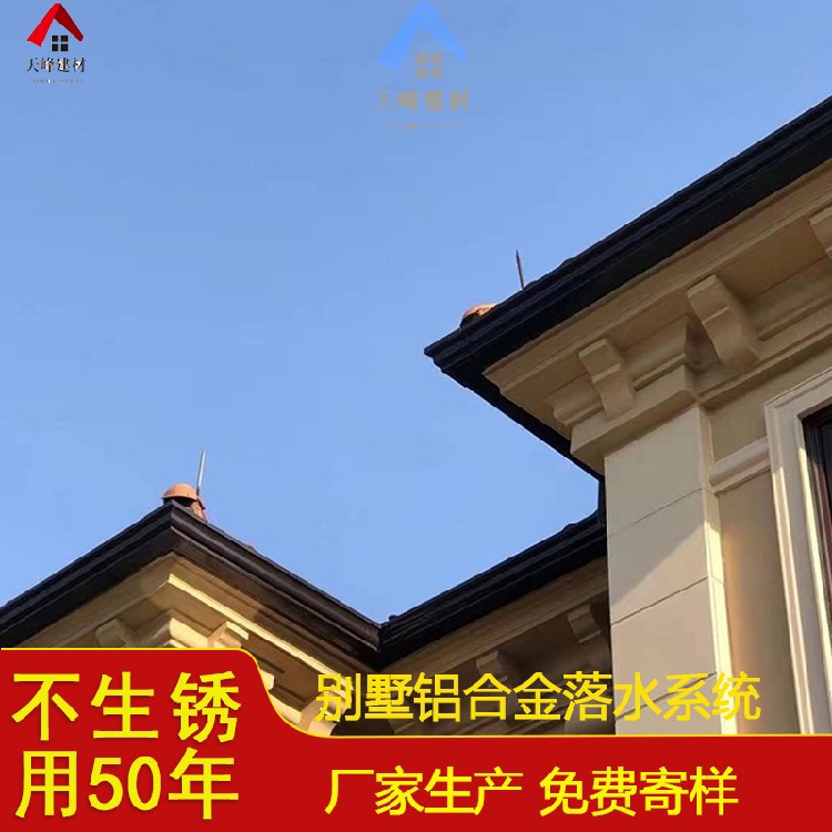 天峰圖片178.jpg