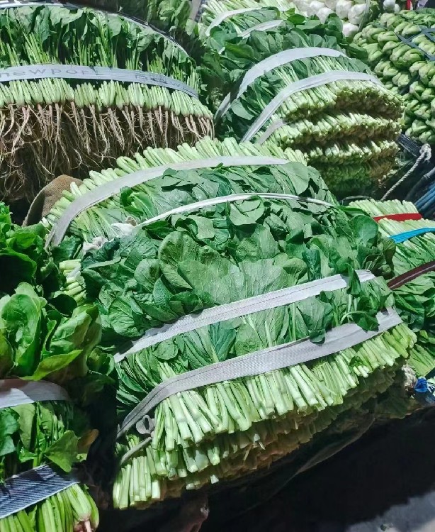 北京蔬菜配送行业的变革与趋势