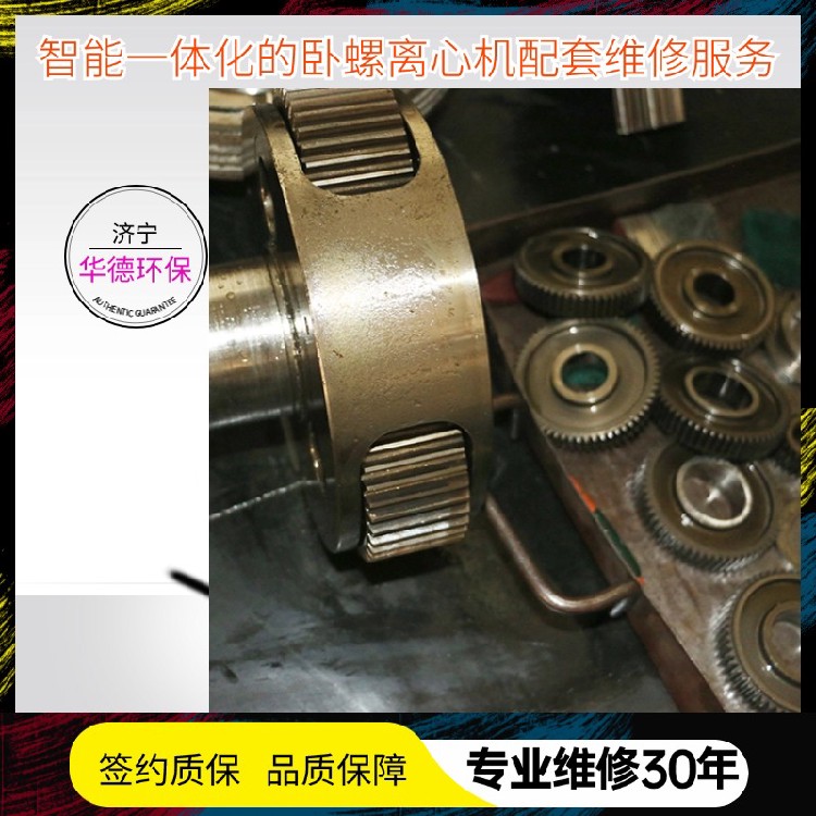 东至县贝亚雷斯卧螺离心机租赁服务