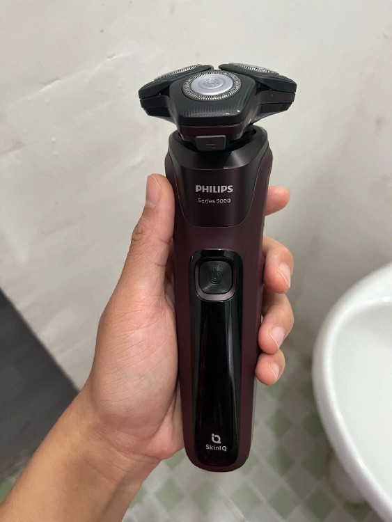 downloadfile-88.jpeg