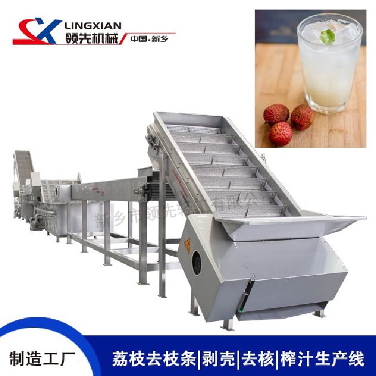 荔枝剝殼去核榨汁生產(chǎn)線.jpg