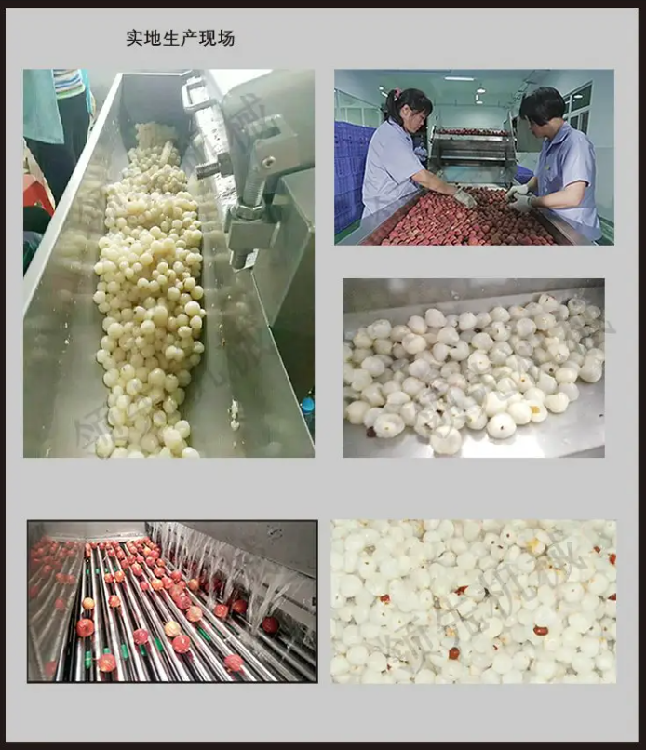 荔枝果汁加工生產現場.png