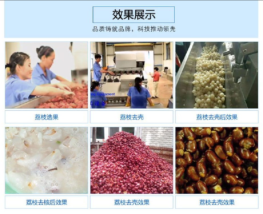 荔枝加工效果展示.png