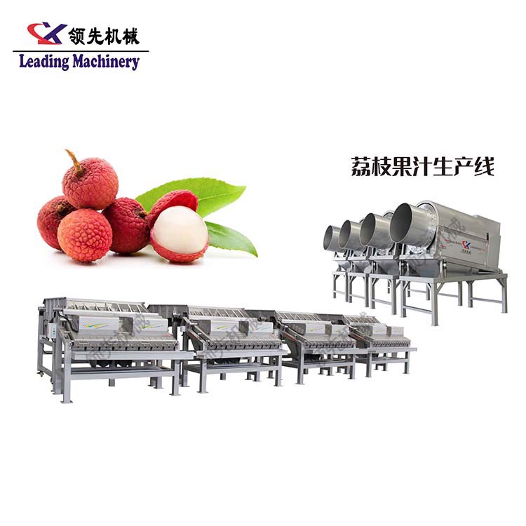 荔枝龍眼剝殼設備生產線.jpg