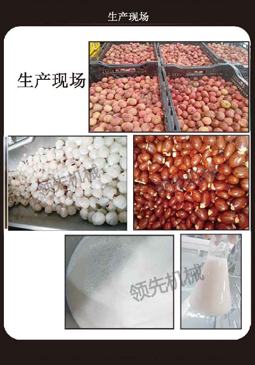 荔枝生產(chǎn)現(xiàn)場1.jpg