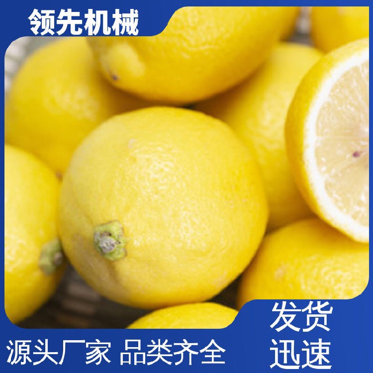 檸檬.jpg